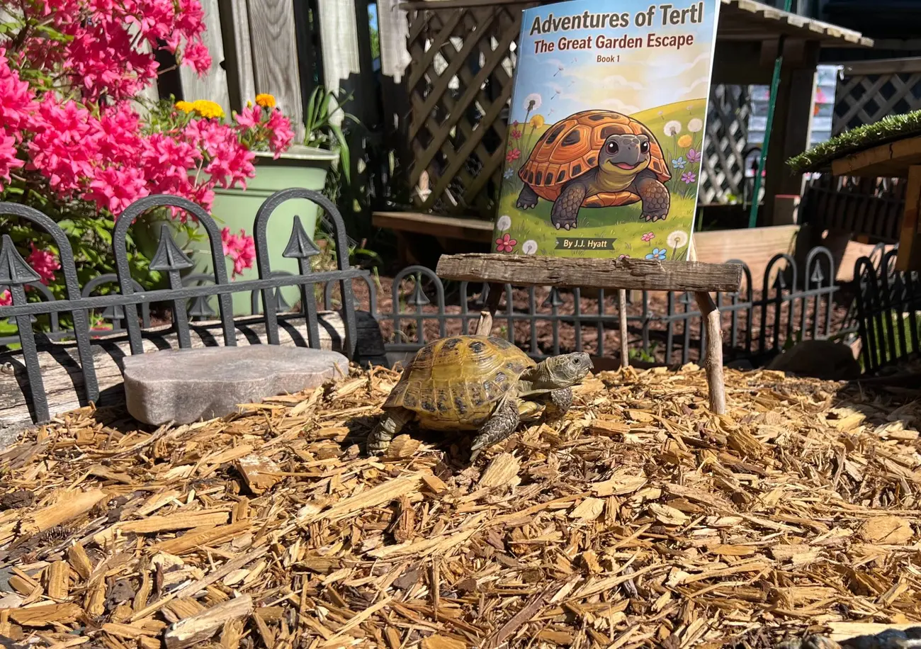 Tertl, a real Russian tortoise, walking through her garden kingdom with a copy of The Great Garden Escape on an easel behind her